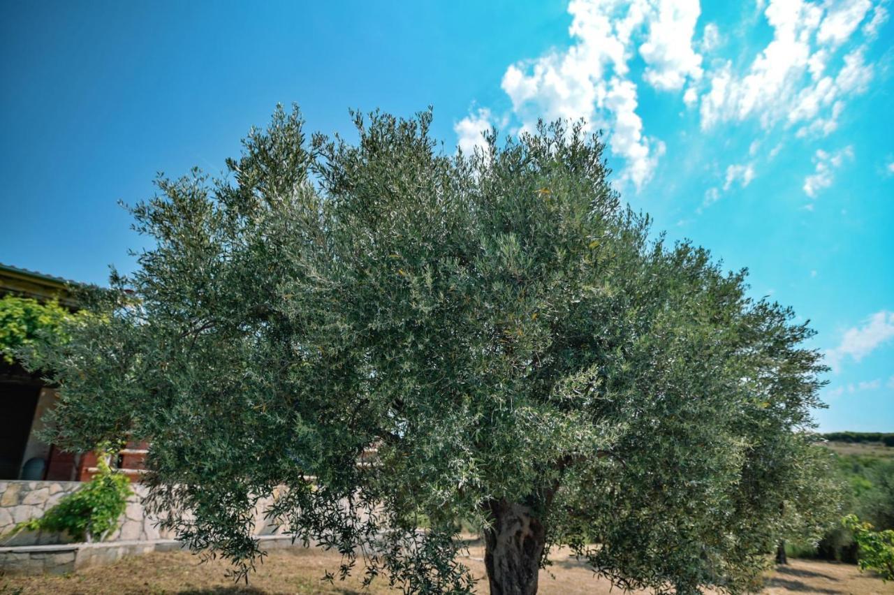 אלכסנדרופולי Villa Aiolos מראה חיצוני תמונה